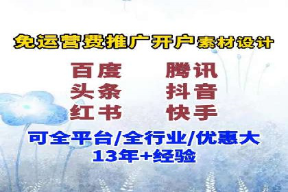 某某SEM团队成功案例：广告投放策略揭秘